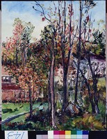 藏品(達拉威)的圖片