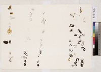 藏品(轉寫版－Ⅳ)的圖片