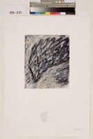 藏品(無題)的圖片