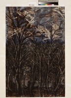 藏品(林中的影子)的圖片