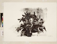 藏品(無題)的圖片