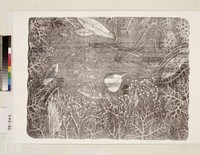 藏品(無題)的圖片