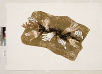 藏品(無題)的圖片