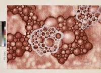 藏品(歷程Ⅰ)的圖片