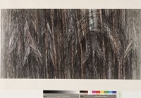 藏品(場景一)的圖片