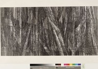 藏品(柳暗花明)的圖片