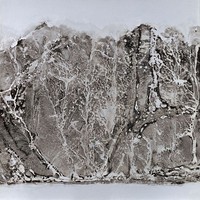 藏品(嶙)的圖片