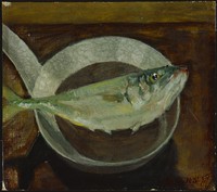 藏品(魚)的圖片