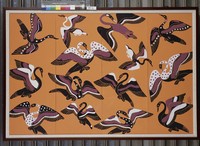 藏品(希臘雁)的圖片