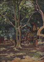 藏品(後院)的圖片