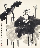 藏品(荷花)的圖片