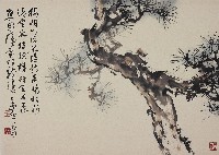 藏品(松)的圖片