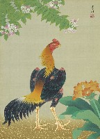 藏品(雄姿)的圖片