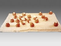 藏品(頭皮球)的圖片