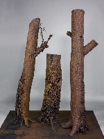 藏品(工業.自然)的圖片