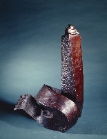 藏品(再生)的圖片