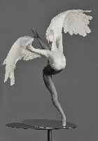 藏品(演)的圖片