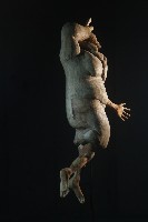 藏品(肉形—掙脫還是接受)的圖片