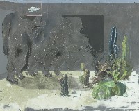 藏品(荊棘‧孤雲)的圖片