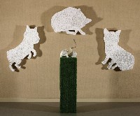 藏品(具有約克夏靈魂的奶油狗)的圖片