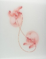 藏品(繞指紅)的圖片