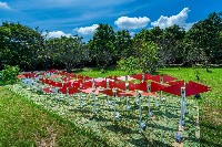 藏品(動態陣列)的圖片