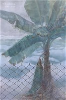 藏品(回憶錄-4)的圖片