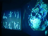 藏品(著魔之地)的圖片