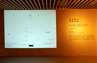 藏品(揮舞集)的圖片