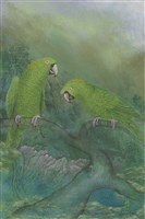 藏品(鸚歌)的圖片