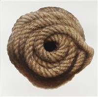 藏品(圈圈)的圖片