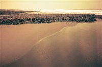 藏品(藻礁)的圖片