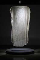 藏品(移民，第一層皮膚：懷舊)的圖片