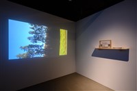 藏品(就地重遊)的圖片