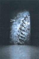 藏品(狼與虎與其他)的圖片