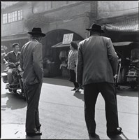 藏品(冬日的逆光)的圖片