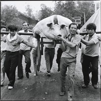 藏品(轎伕)的圖片