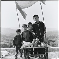 藏品(東北季風)的圖片