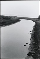 藏品(出海口)的圖片