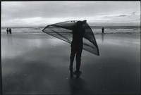 藏品(夜生活)的圖片