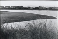 藏品(紅糖埤)的圖片