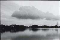 藏品(12-17號池)的圖片