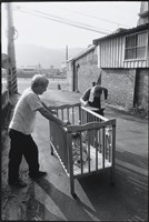 藏品(免托嬰)的圖片