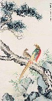 藏品(雉雞)的圖片