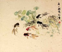 藏品(金魚)的圖片