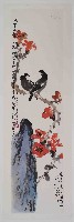 藏品(八哥)的圖片