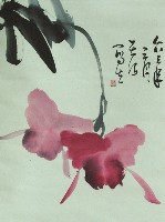 藏品(洋蘭)的圖片