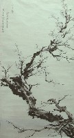 藏品(梅)的圖片
