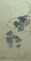 藏品(葡萄)的圖片