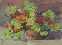 藏品(花)的圖片